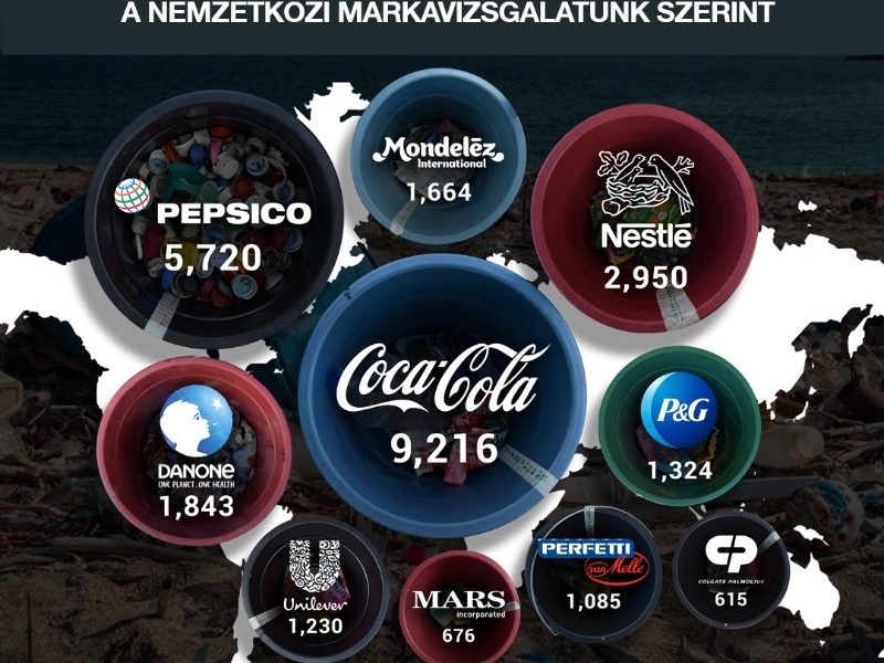 Egy tavalyi vizsgálatról számolt be a Greenpeace honlapja