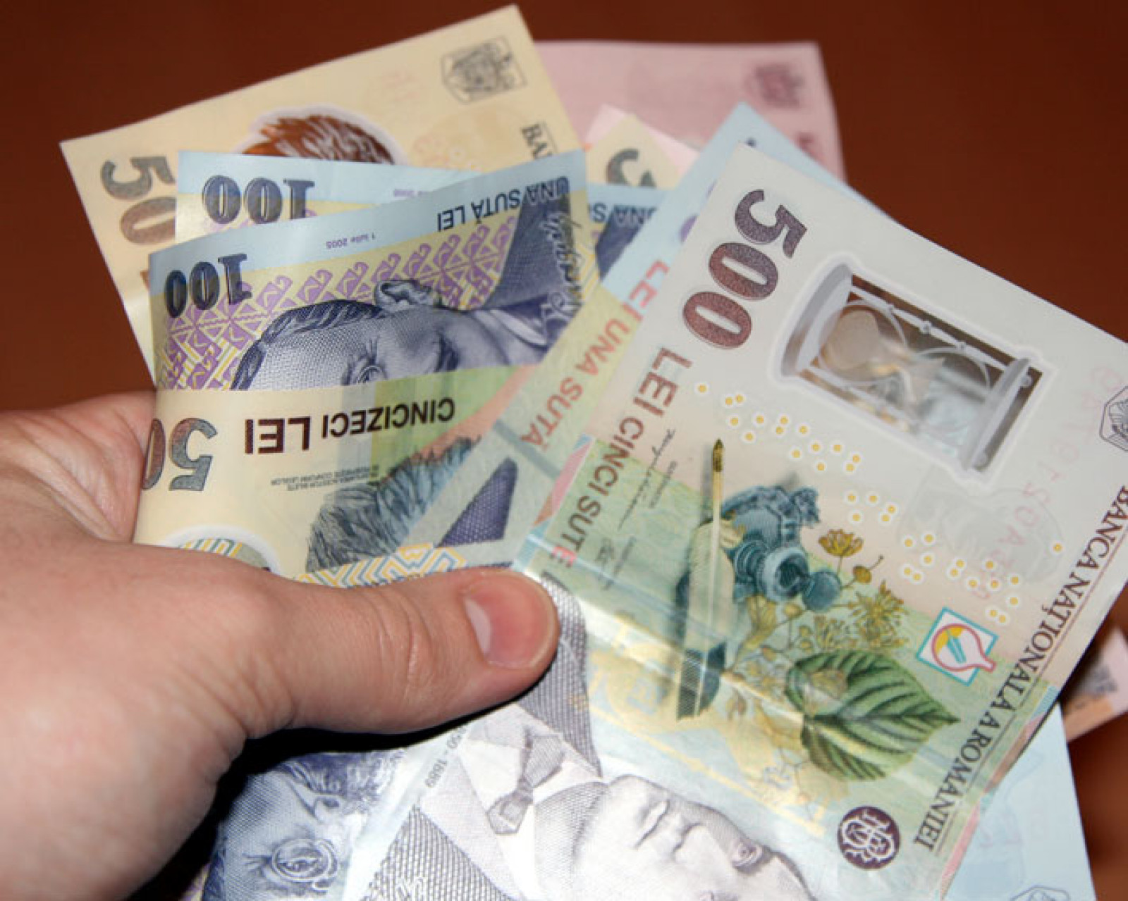 Átlagosan 5300 lejből gazdálkodhattak a romániai családok az elmúlt esztendőben