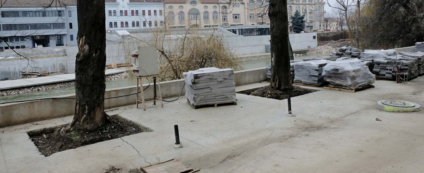 Aggódnak a váradiak a Körös-parti fákért
