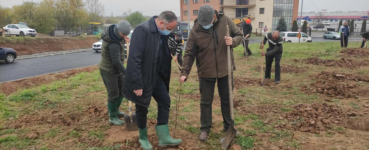 Zöld függönyöket hoz létre a váradi önkormányzat, hogy csökkentse a légszennyezét a városban