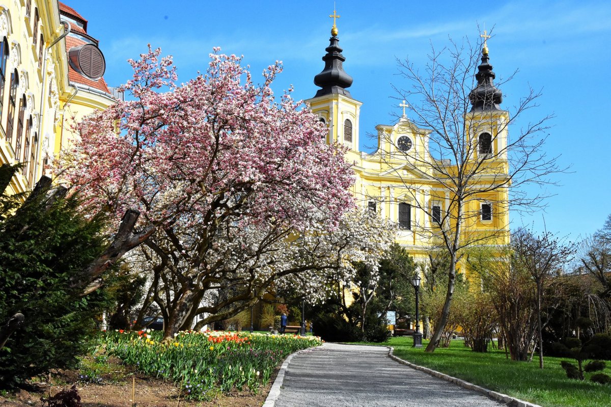 Visszakapta méltó helyét a váradi palotakert
