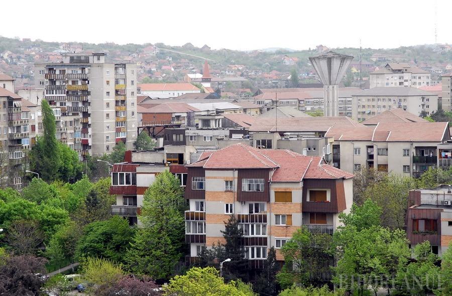 Szeptembertől életbe lépett Nagyváradon a zöldövezetek karbantartására vonatkozó rendelet