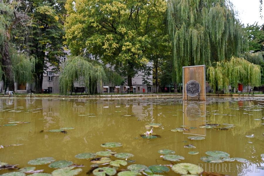 Megmentették a Püspökfürdőn kihalás szélére került hévízi tündérrózsát