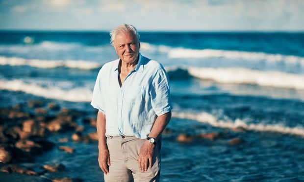 David Attenborough hangjára buliznak a brit fiatalok