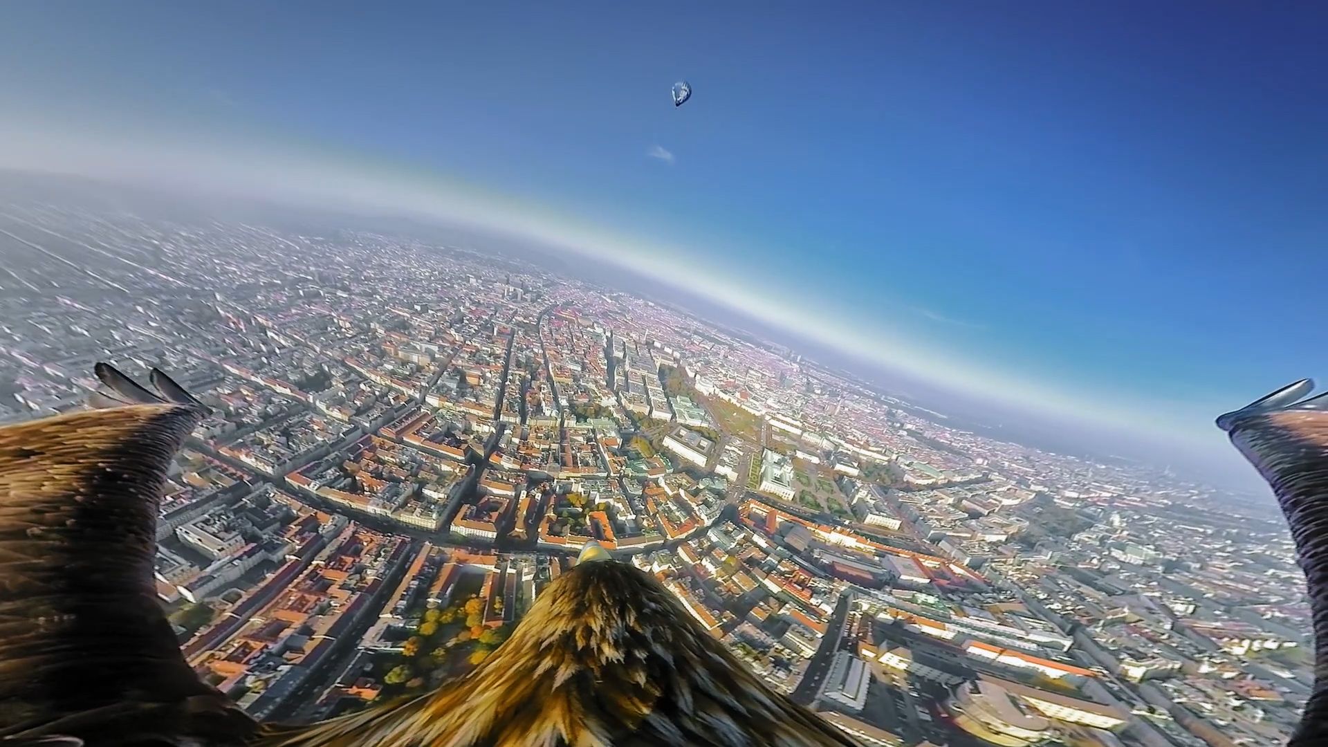 Négy sas segítségével készítettek 360 fokos videót Bécsről